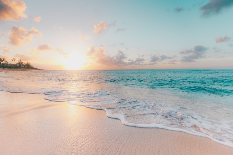 Ocean shoreline