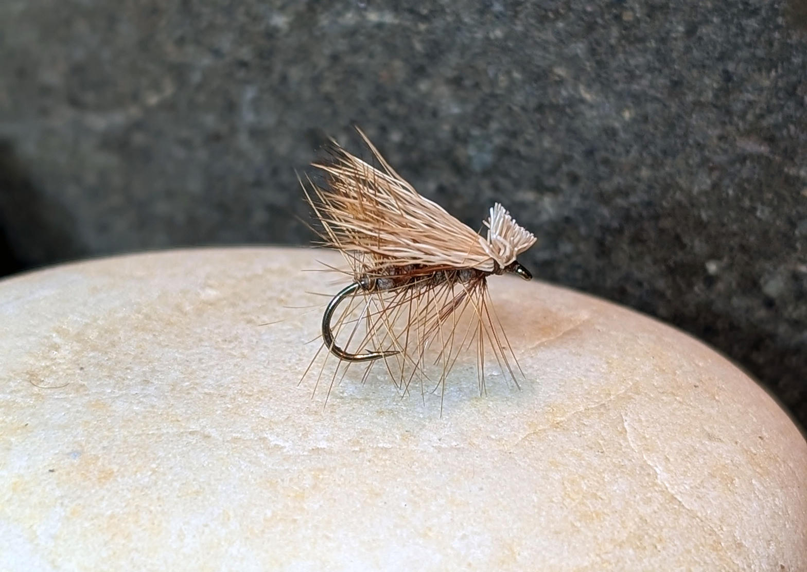 Elk Hair Caddis dry fly