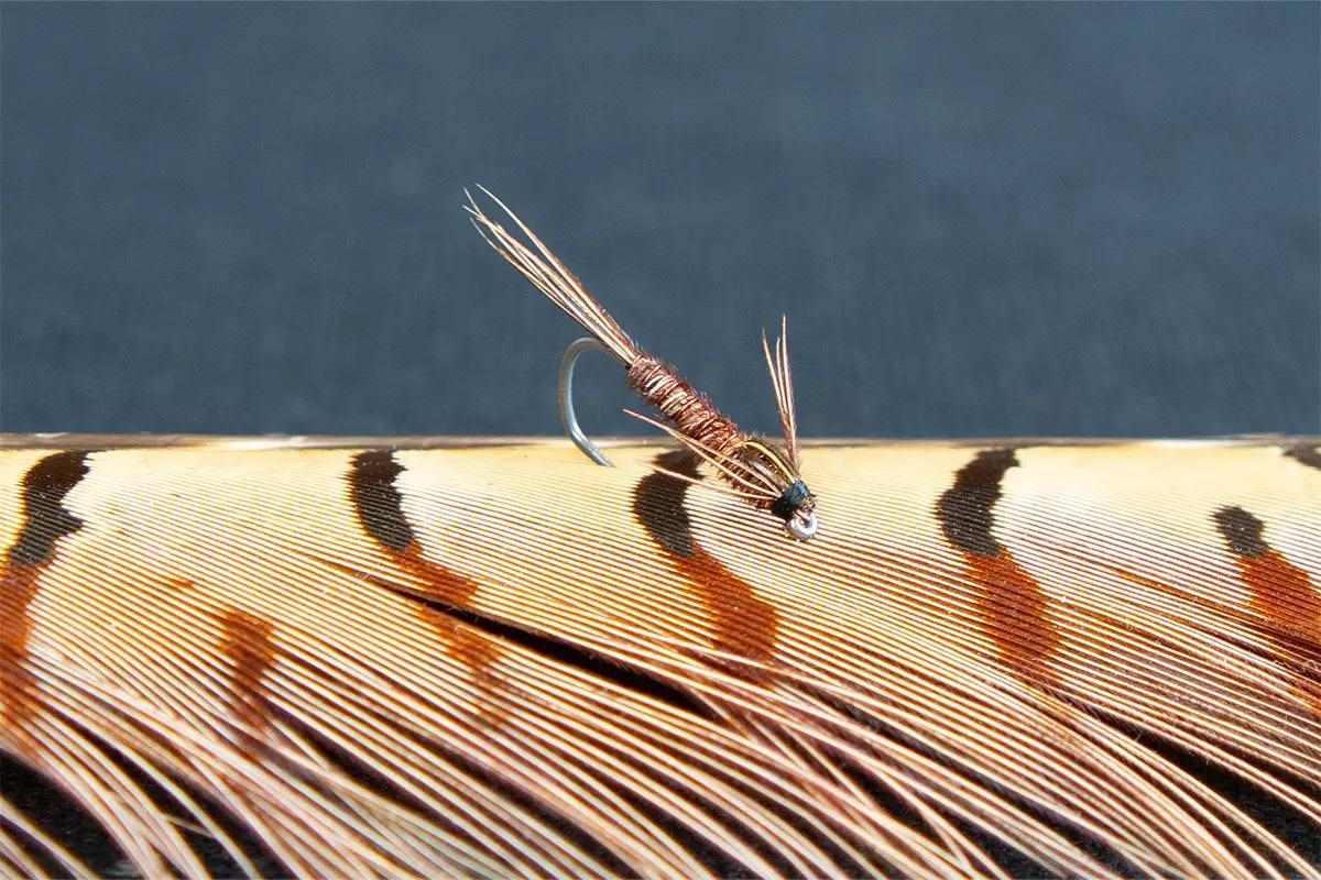 Nymph