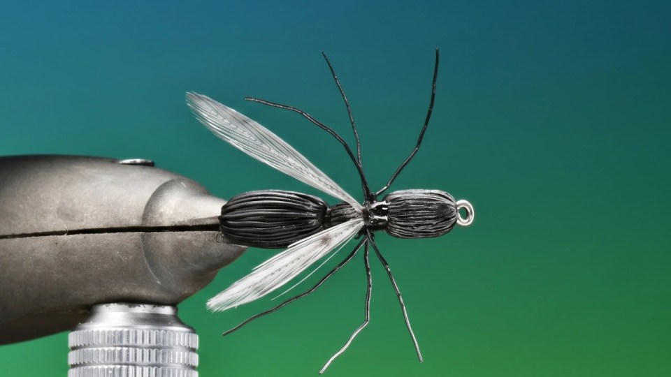 Fly held in a tying vise